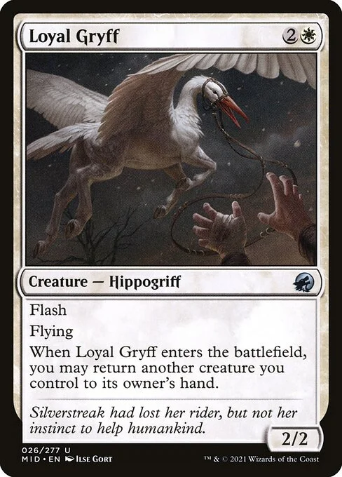 Loyal Gryff, carta Magic di tipo Creature — Hippogriff illustrata da Ilse Gort