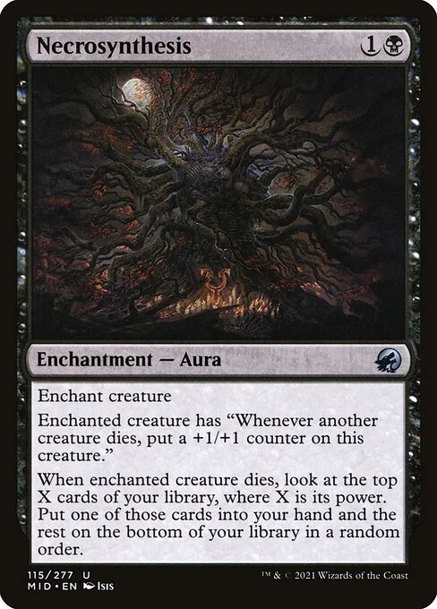 Necrosynthesis, carta Magic di tipo Enchantment — Aura illustrata da Isis