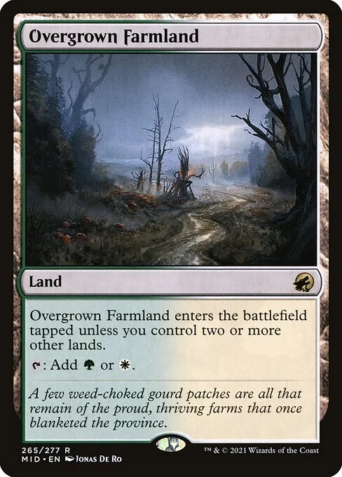 Overgrown Farmland, carta Magic di tipo Land illustrata da Jonas De Ro