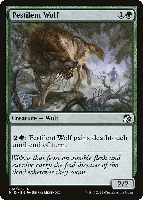 Pestilent Wolf, carta Magic di tipo Creature — Wolf illustrata da Oriana Menendez