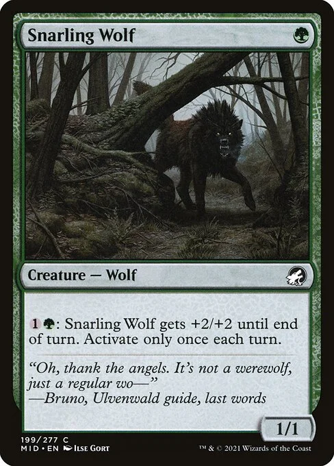 Snarling Wolf, carta Magic di tipo Creature — Wolf illustrata da Ilse Gort