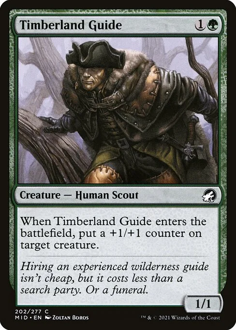 Timberland Guide, carta Magic di tipo Creature — Human Scout illustrata da Zoltan Boros