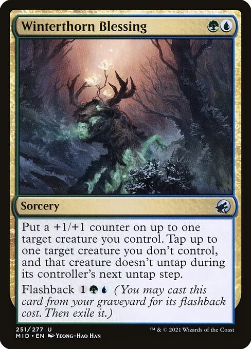 Winterthorn Blessing, carta Magic di tipo Sorcery illustrata da Yeong-Hao Han