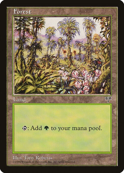 Forest, carta Magic di tipo Basic Land — Forest illustrata da Tony Roberts