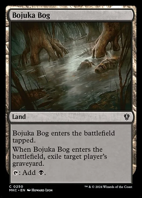 Bojuka Bog, carta Magic di tipo Land illustrata da Howard Lyon