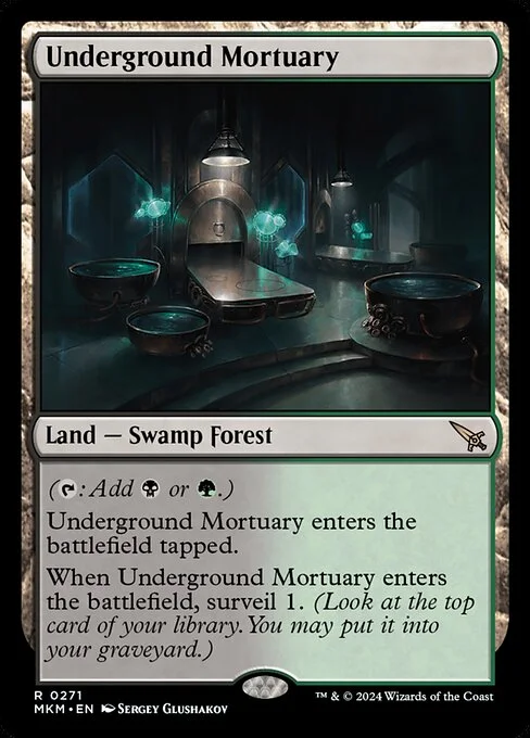 Underground Mortuary, carta Magic di tipo Land — Swamp Forest illustrata da Sergey Glushakov