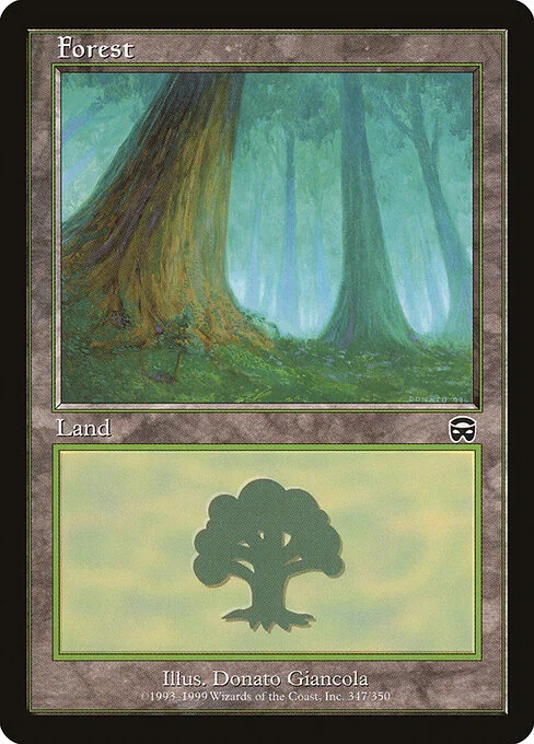 Forest, carta Magic di tipo Basic Land — Forest illustrata da Donato Giancola