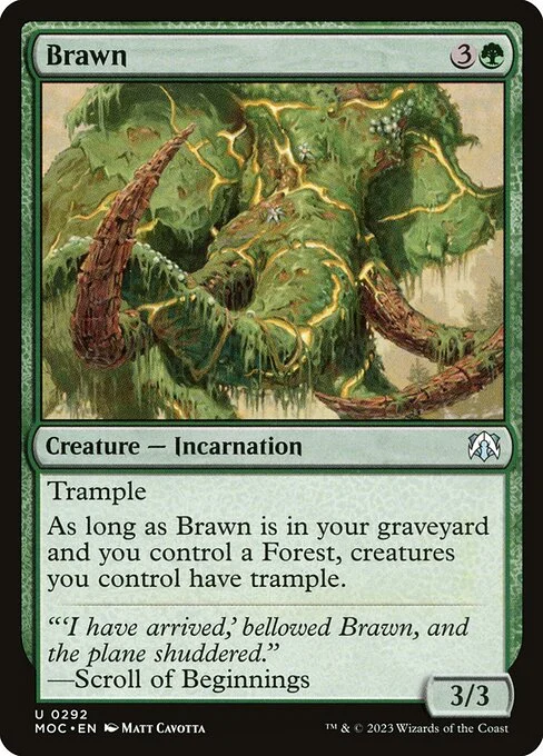Brawn, carta Magic di tipo Creature — Incarnation illustrata da Matt Cavotta