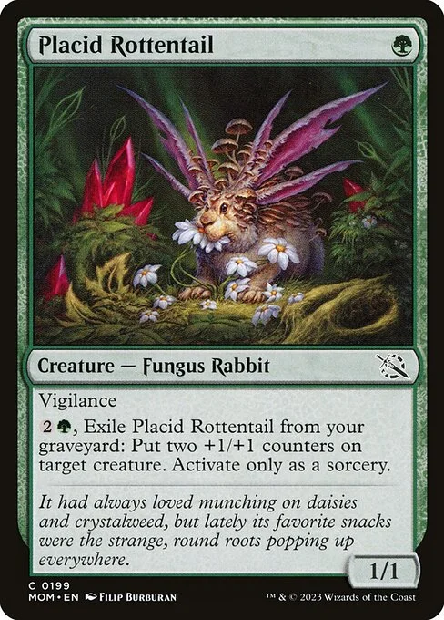 Placid Rottentail, carta Magic di tipo Creature — Fungus Rabbit illustrata da Filip Burburan