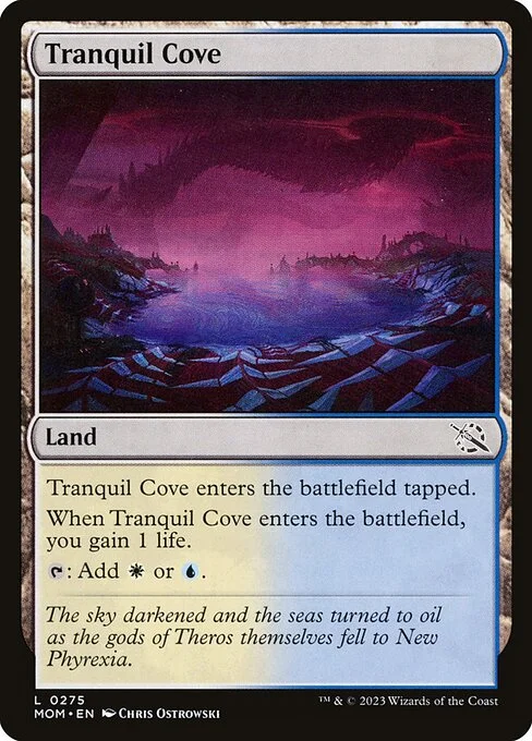 Tranquil Cove, carta Magic di tipo Land illustrata da Chris Ostrowski