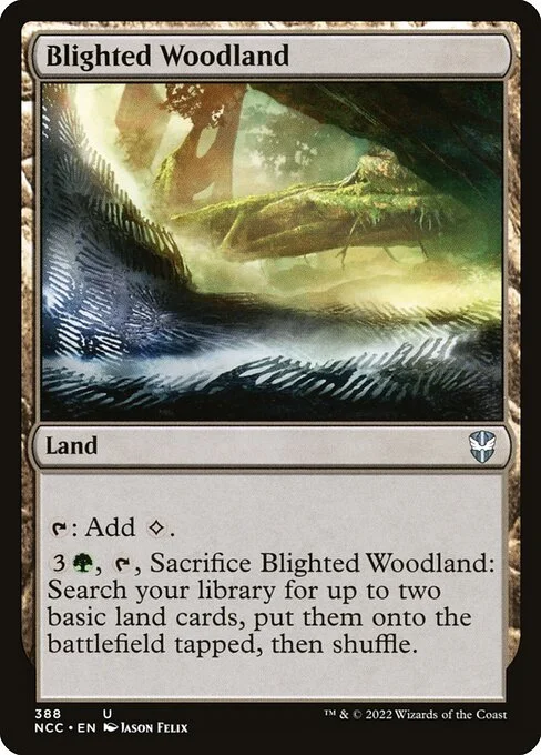 Blighted Woodland, carta Magic di tipo Land illustrata da Jason Felix