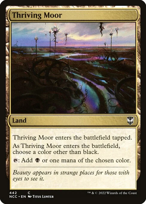 Thriving Moor, carta Magic di tipo Land illustrata da Titus Lunter