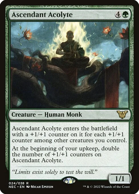 Ascendant Acolyte, carta Magic di tipo Creature — Human Monk illustrata da Micah Epstein