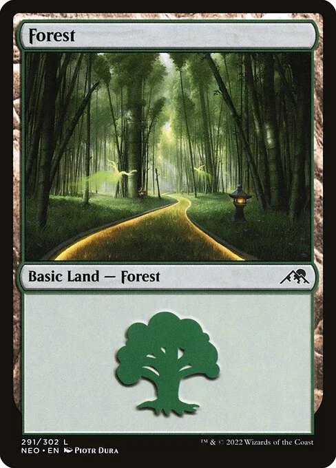 Forest, carta Magic di tipo Basic Land — Forest illustrata da Piotr Dura