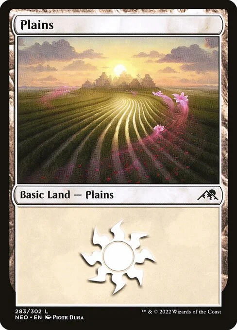 Plains, carta Magic di tipo Basic Land — Plains illustrata da Piotr Dura