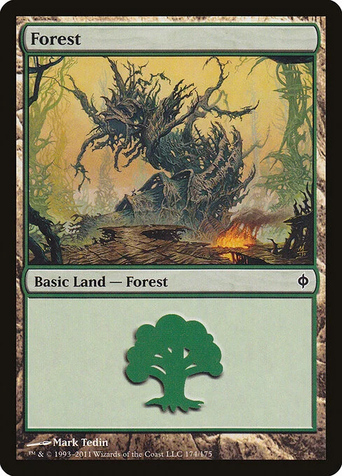 Forest, carta Magic di tipo Basic Land — Forest illustrata da Mark Tedin