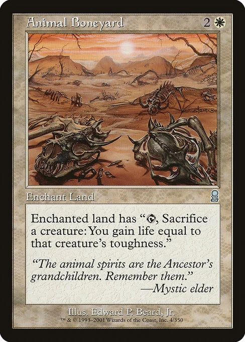 Animal Boneyard, carta Magic di tipo Enchantment — Aura illustrata da Edward P. Beard, Jr.
