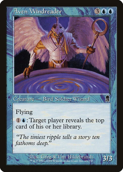 Aven Windreader, carta Magic di tipo Creature — Bird Soldier Wizard illustrata da Greg Hildebrandt
