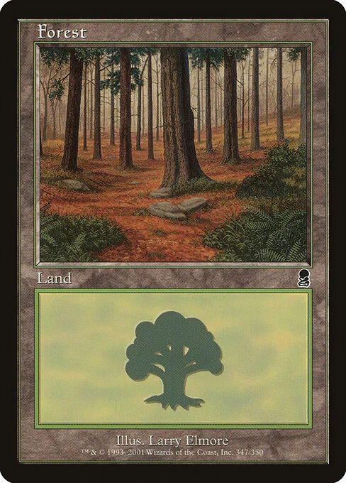 Forest, carta Magic di tipo Basic Land — Forest illustrata da Larry Elmore
