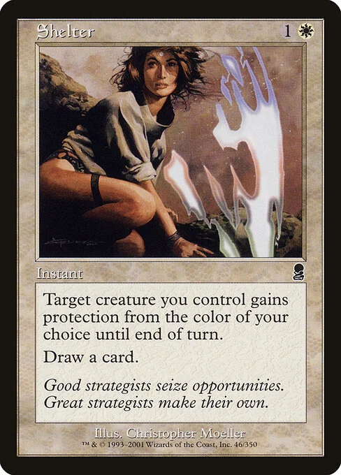Shelter, carta Magic di tipo Instant illustrata da Christopher Moeller