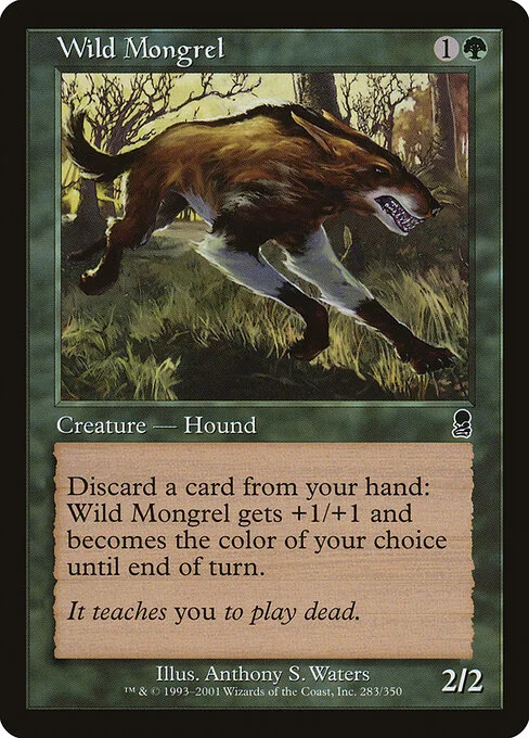 Wild Mongrel, carta Magic di tipo Creature — Dog illustrata da Anthony S. Waters