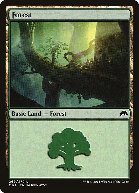Forest, carta Magic di tipo Basic Land — Forest illustrata da John Avon