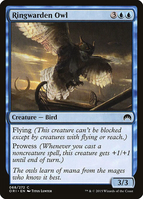 Ringwarden Owl, carta Magic di tipo Creature — Bird illustrata da Titus Lunter