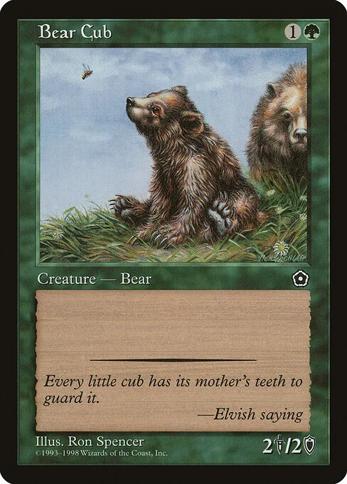 Bear Cub, carta Magic di tipo Creature — Bear illustrata da Ron Spencer