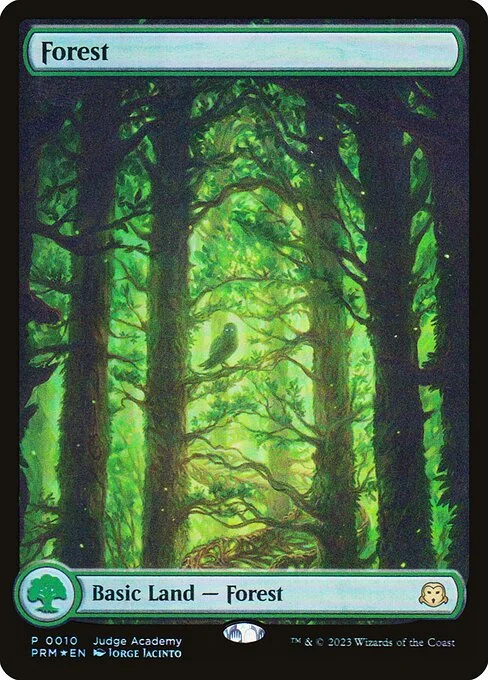 Forest, carta Magic di tipo Basic Land — Forest illustrata da Jorge Jacinto