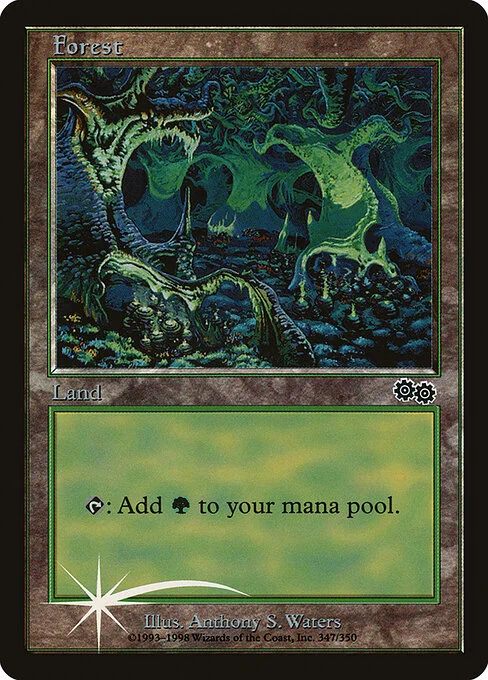 Forest, carta Magic di tipo Basic Land — Forest illustrata da Anthony S. Waters