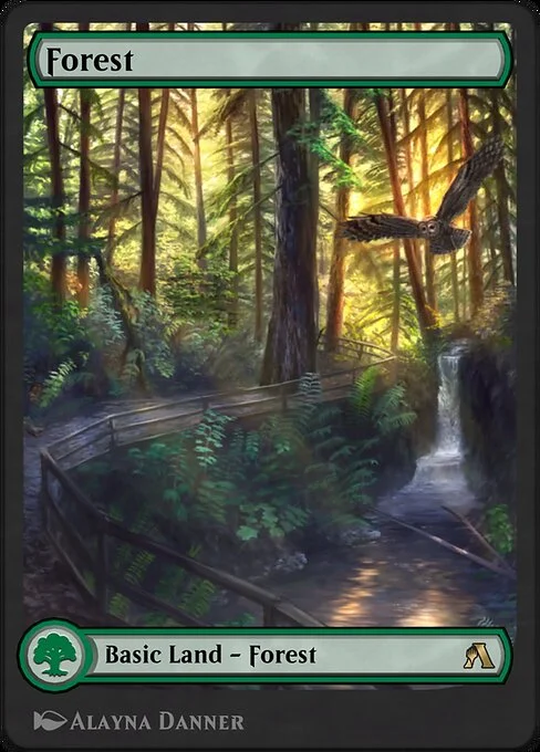 Forest, carta Magic di tipo Basic Land — Forest illustrata da Alayna Danner