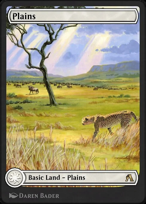 Plains, carta Magic di tipo Basic Land — Plains illustrata da Daren Bader