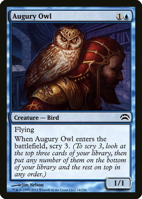 Augury Owl, carta Magic di tipo Creature — Bird illustrata da Jim Nelson