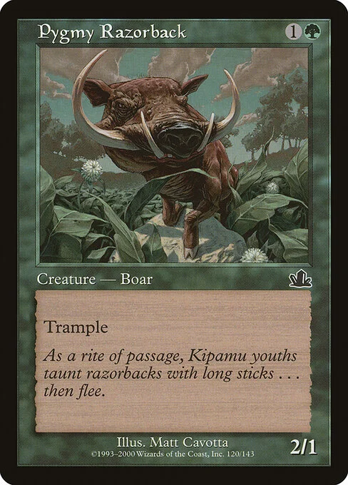 Pygmy Razorback, carta Magic di tipo Creature — Boar illustrata da Matt Cavotta