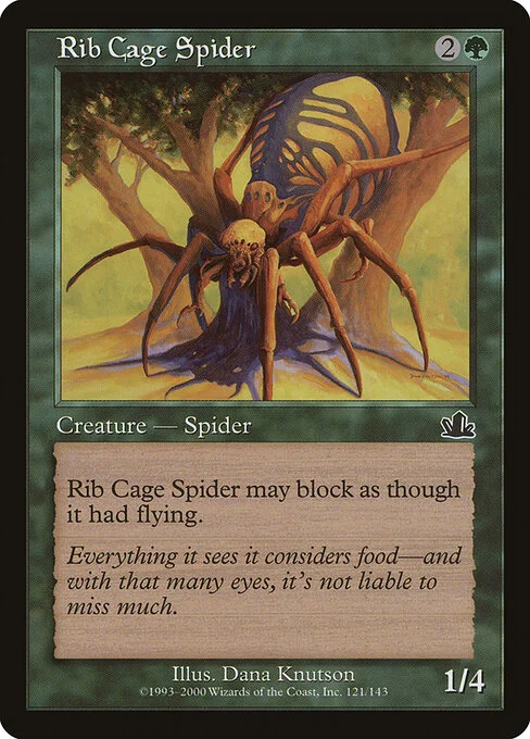 Rib Cage Spider, carta Magic di tipo Creature — Spider illustrata da Dana Knutson