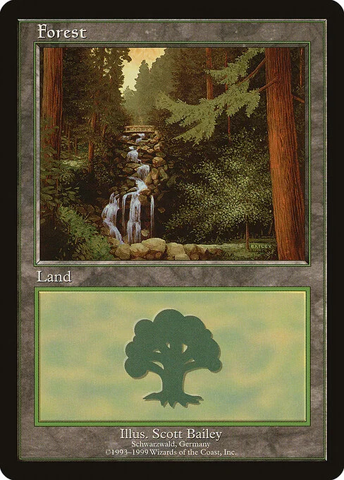 Forest, carta Magic di tipo Basic Land — Forest illustrata da Scott Bailey