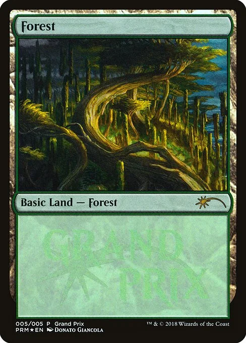 Forest, carta Magic di tipo Basic Land — Forest illustrata da Donato Giancola