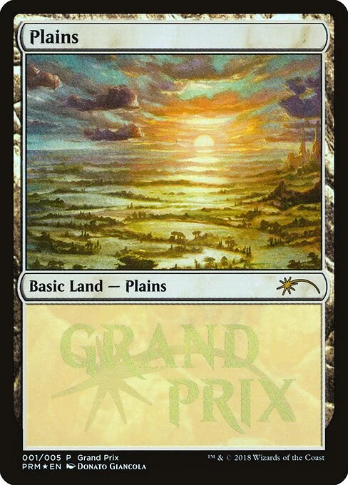 Plains, carta Magic di tipo Basic Land — Plains illustrata da Donato Giancola