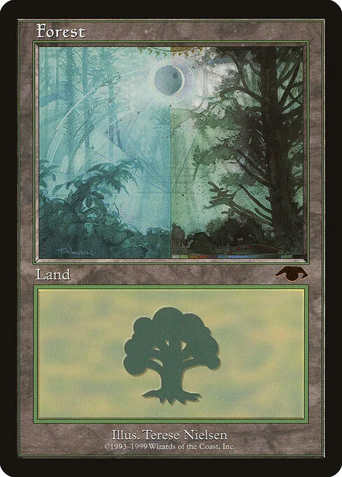 Forest, carta Magic di tipo Basic Land — Forest illustrata da Terese Nielsen