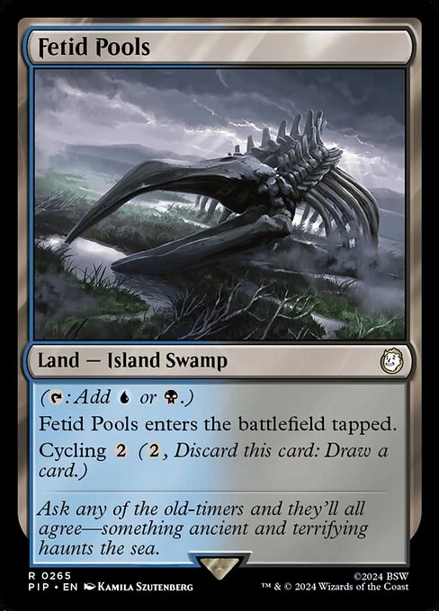Fetid Pools, carta Magic di tipo Land — Island Swamp illustrata da Kamila Szutenberg