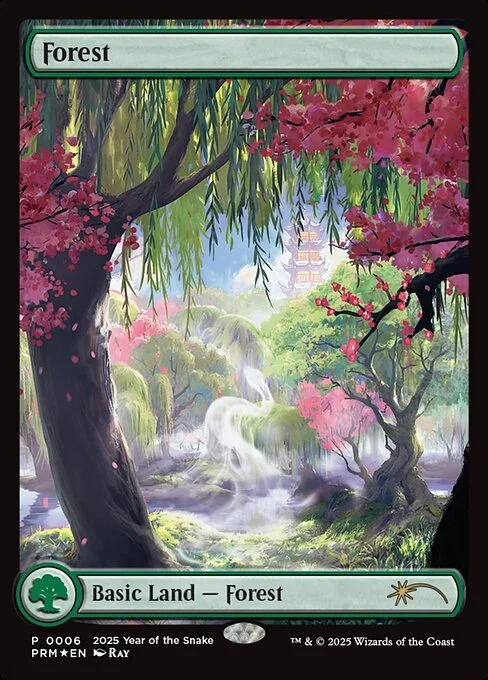Forest, carta Magic di tipo Basic Land — Forest illustrata da Ray