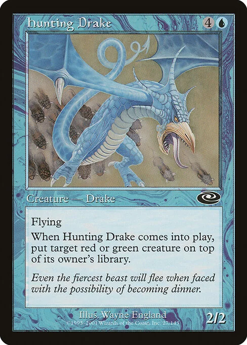 Hunting Drake, carta Magic di tipo Creature — Drake illustrata da Wayne England