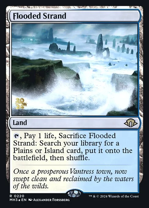 Flooded Strand, carta Magic di tipo Land illustrata da Alexander Forssberg