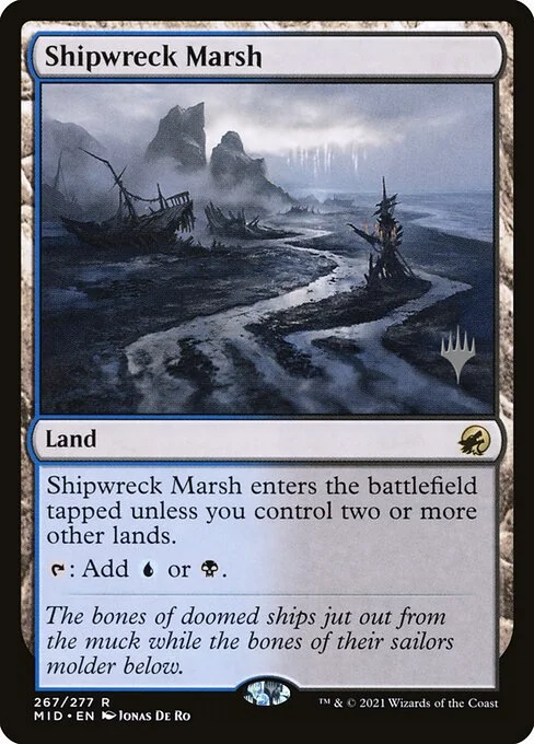 Shipwreck Marsh, carta Magic di tipo Land illustrata da Jonas De Ro