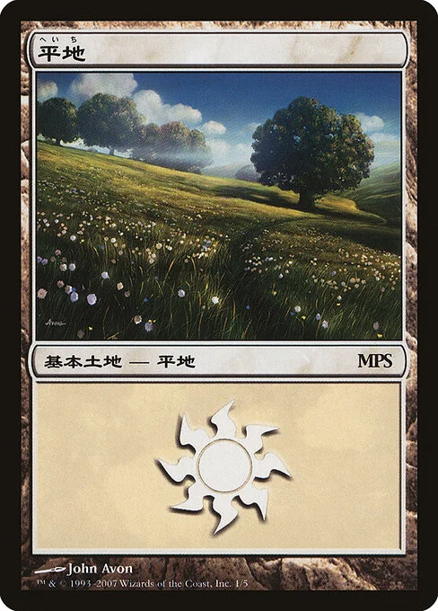 Plains, carta Magic di tipo Basic Land — Plains illustrata da John Avon