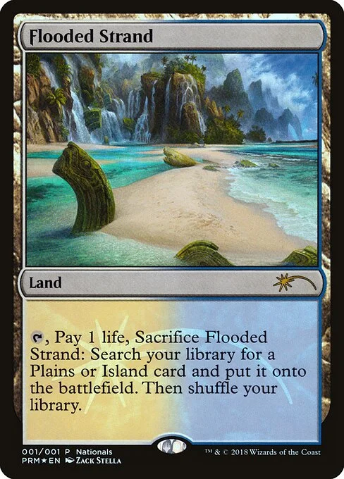 Flooded Strand, carta Magic di tipo Land illustrata da Zack Stella