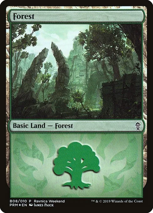 Forest, carta Magic di tipo Basic Land — Forest illustrata da James Paick