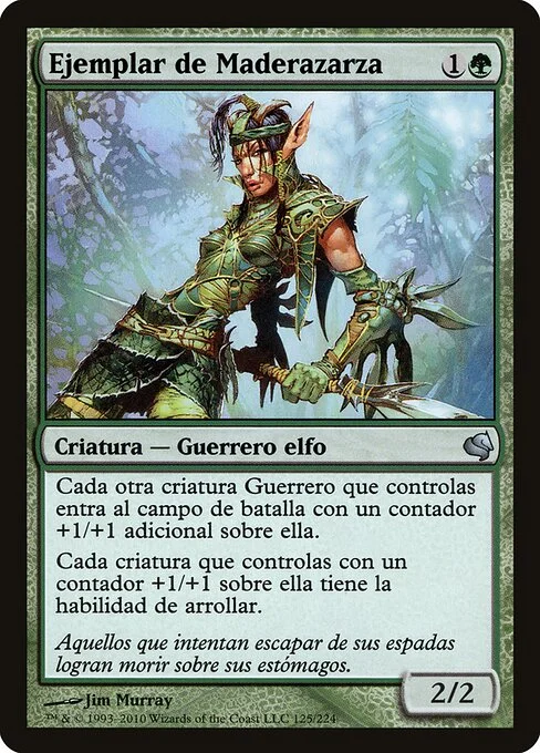 Bramblewood Paragon, carta Magic di tipo Creature — Elf Warrior illustrata da Jim Murray