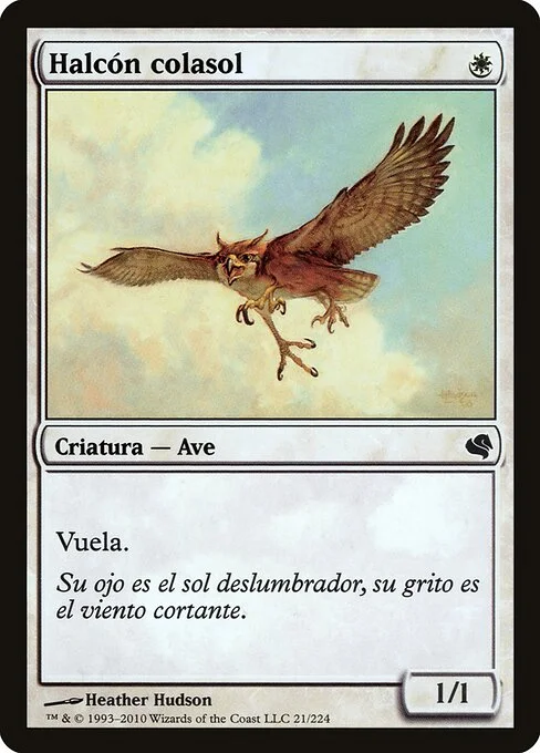 Suntail Hawk, carta Magic di tipo Creature — Bird illustrata da Heather Hudson