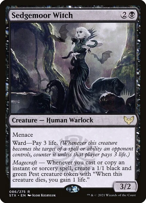 Sedgemoor Witch, carta Magic di tipo Creature — Human Warlock illustrata da Igor Kieryluk